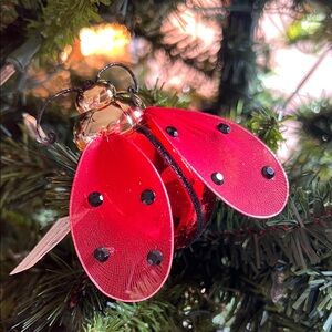 Ladybug ornaments Red and Black (6) 🐞
